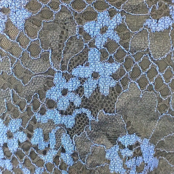 Adore Me Bra Black with Blue Lace Floral Design Women's 34F (34DDD) - Picture 6 of 11